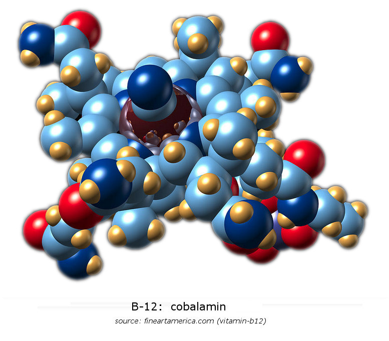 vitamin-B12