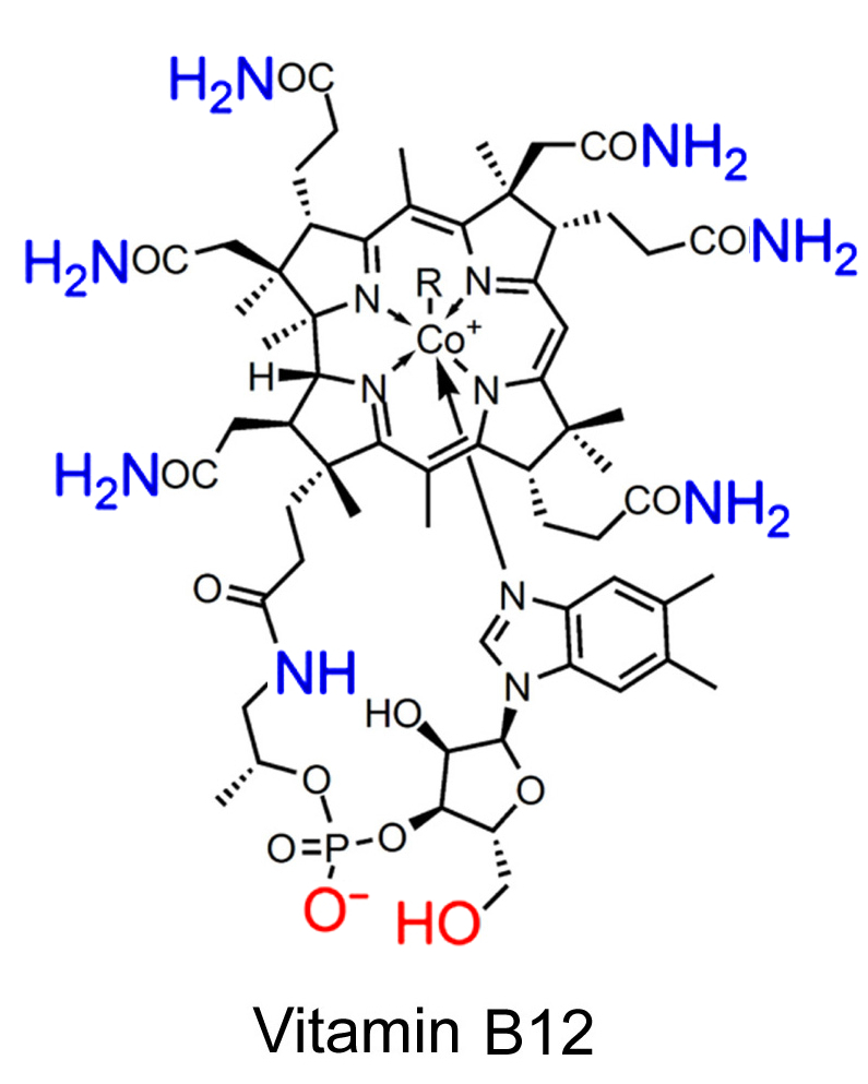 vitamin-B12