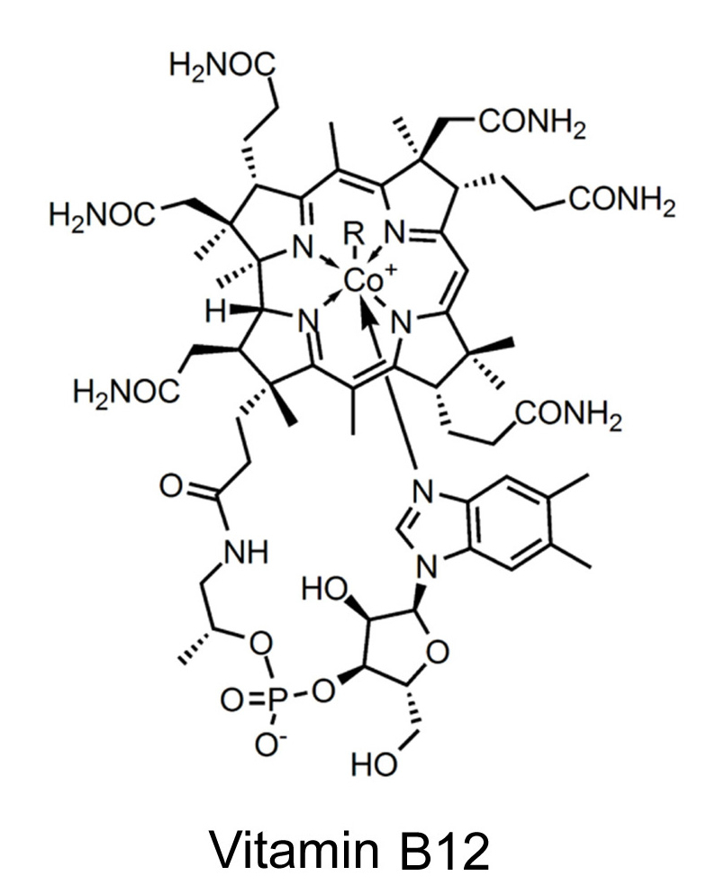 vitamin-B12